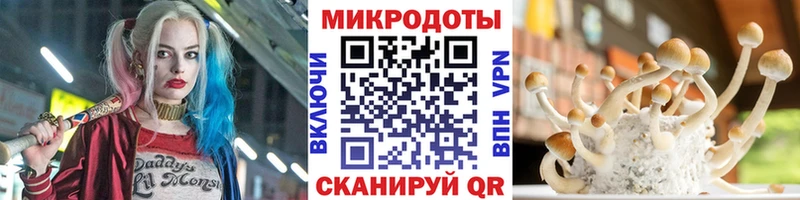 shop клад  Краснообск  Галлюциногенные грибы Cubensis  купить  сайты  блэк спрут ссылка 
