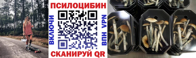 Галлюциногенные грибы Cubensis Краснообск